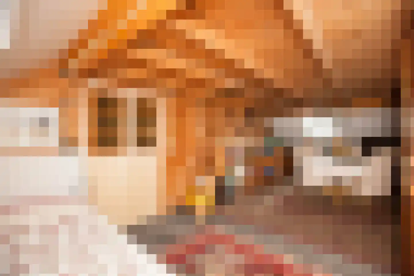Zimmelinksdiek 2 Winterswijk Meddo thumbnail 32