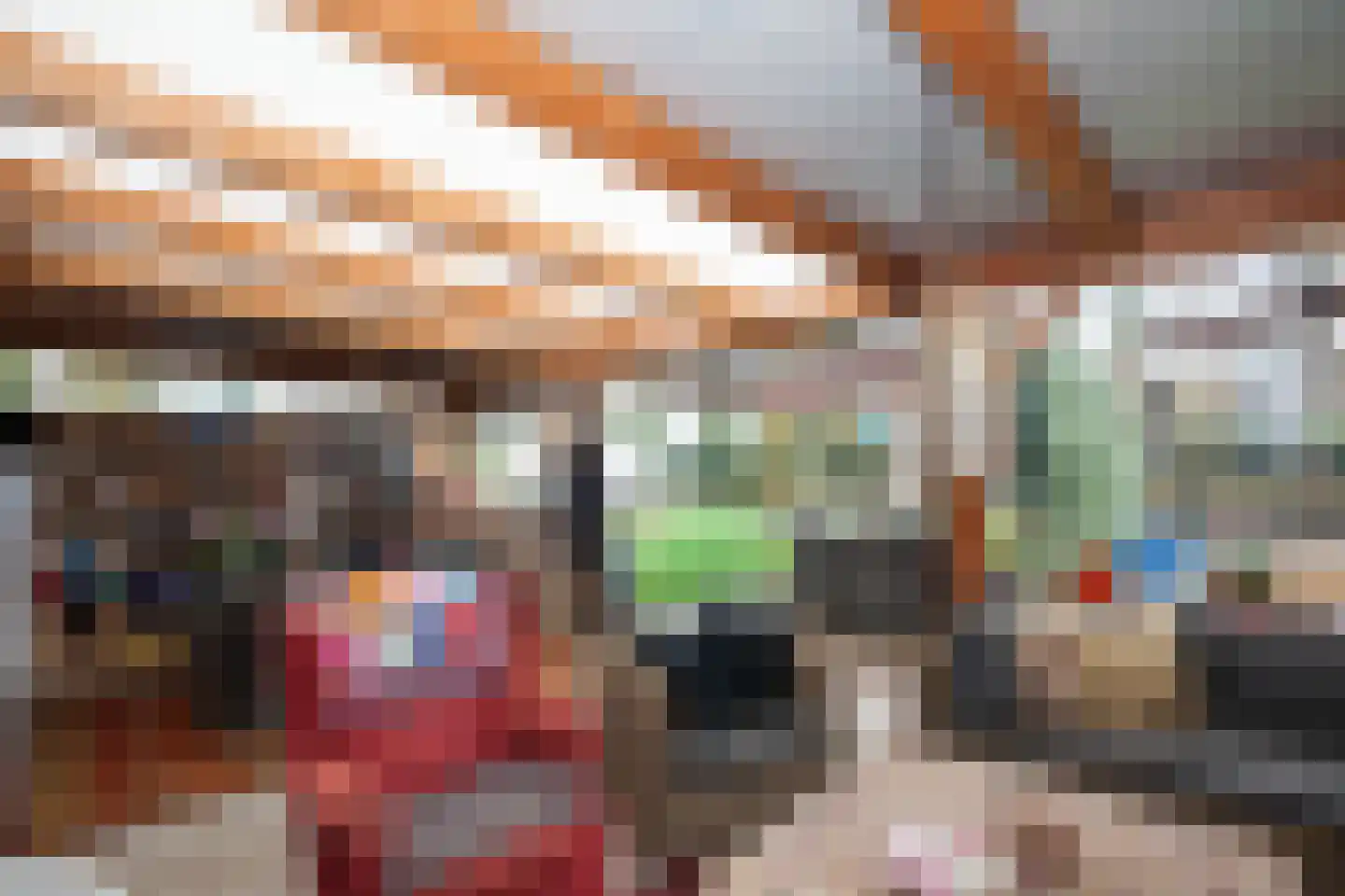 Zimmelinksdiek 2 Winterswijk Meddo thumbnail 35