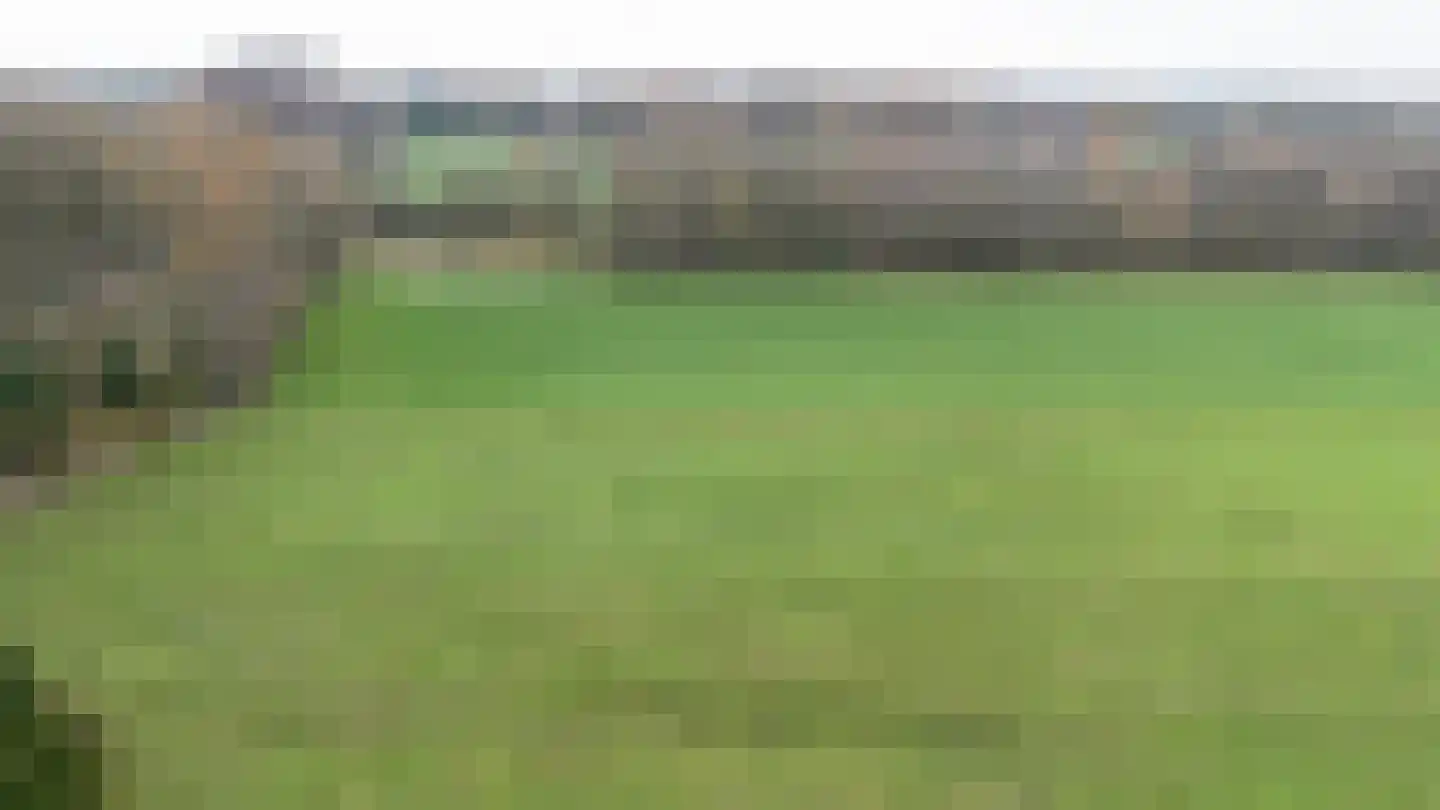 Zimmelinksdiek 2 Winterswijk Meddo thumbnail 4