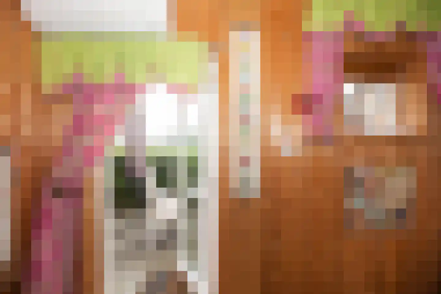 Zimmelinksdiek 2 Winterswijk Meddo thumbnail 40