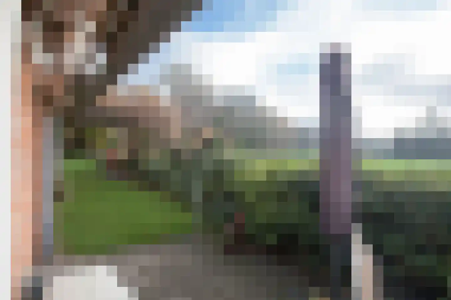 Zimmelinksdiek 2 Winterswijk Meddo thumbnail 41