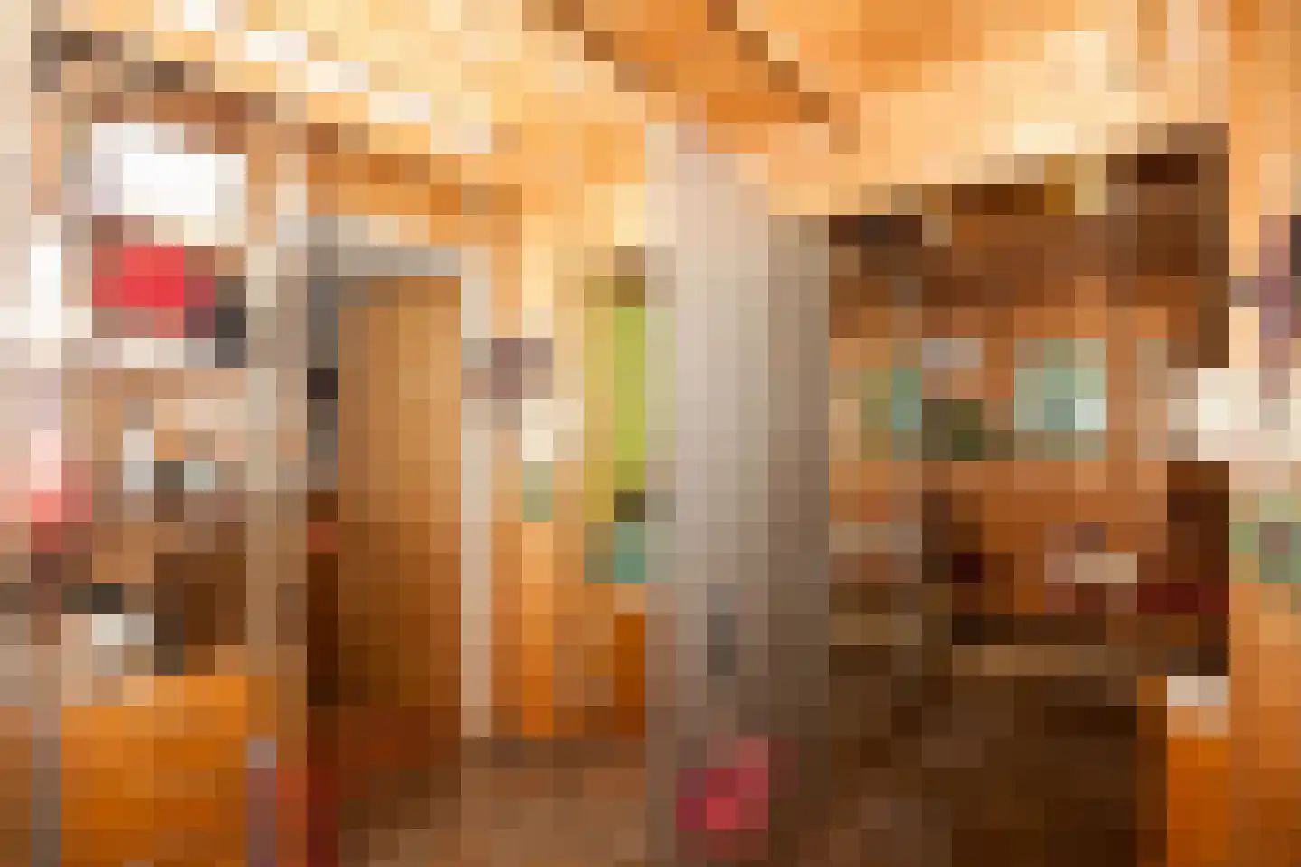 Zimmelinksdiek 2 Winterswijk Meddo thumbnail 42