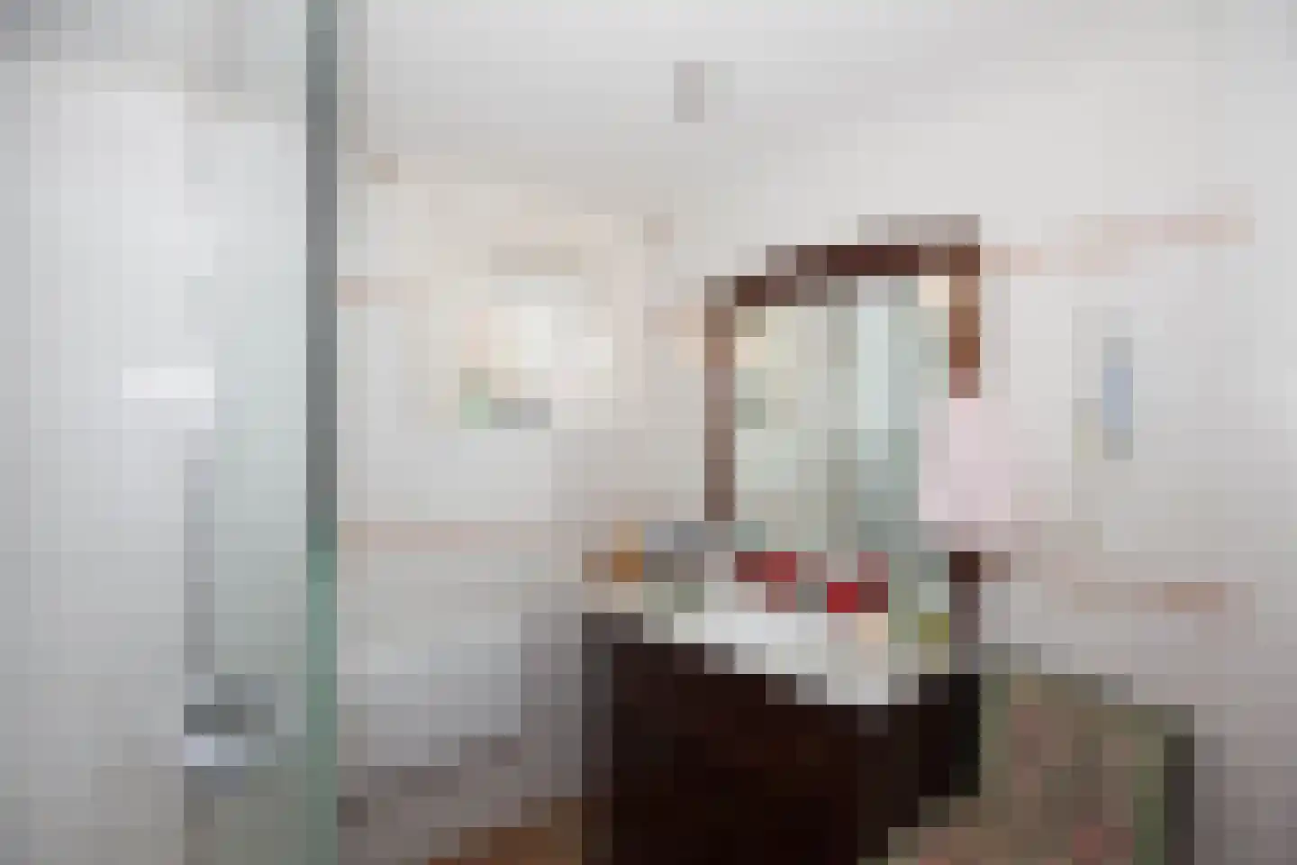 Zimmelinksdiek 2 Winterswijk Meddo thumbnail 44