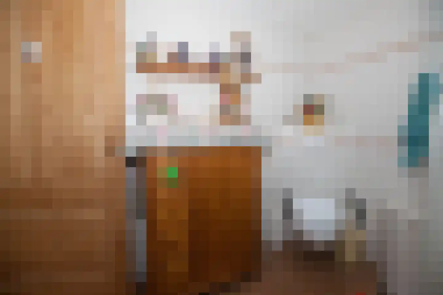 Zimmelinksdiek 2 Winterswijk Meddo thumbnail 45