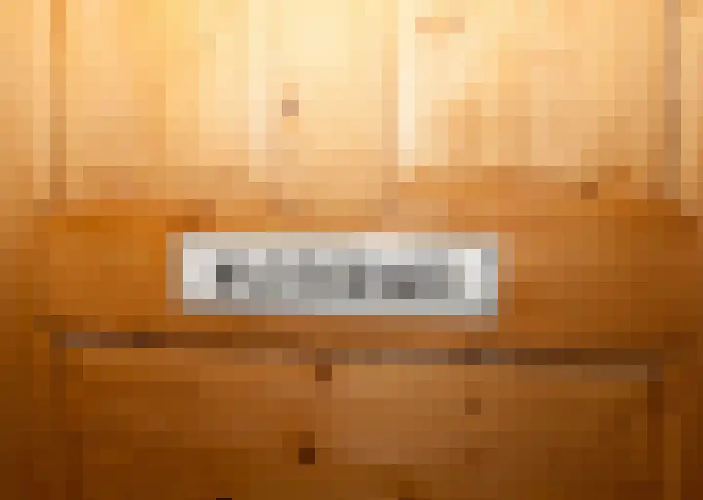 Zimmelinksdiek 2 Winterswijk Meddo thumbnail 46