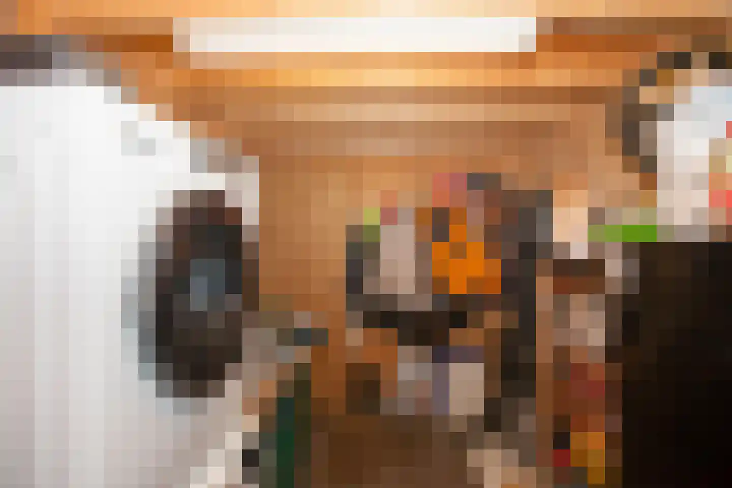 Zimmelinksdiek 2 Winterswijk Meddo thumbnail 48