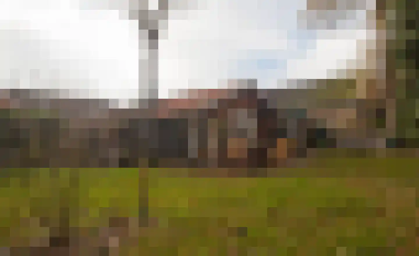 Zimmelinksdiek 2 Winterswijk Meddo thumbnail 49