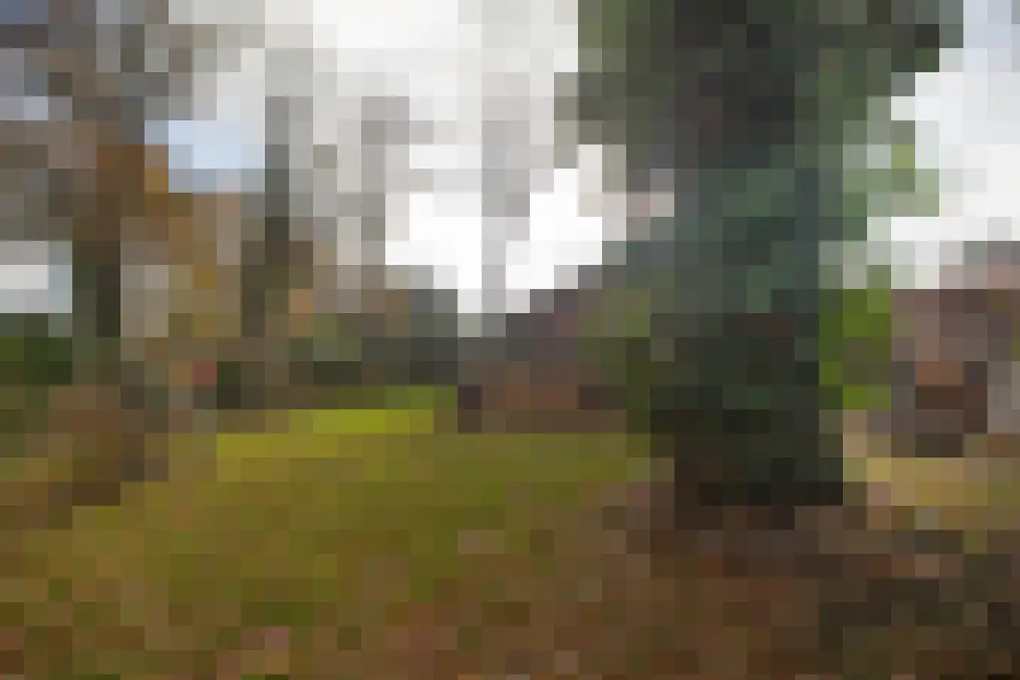 Zimmelinksdiek 2 Winterswijk Meddo thumbnail 53