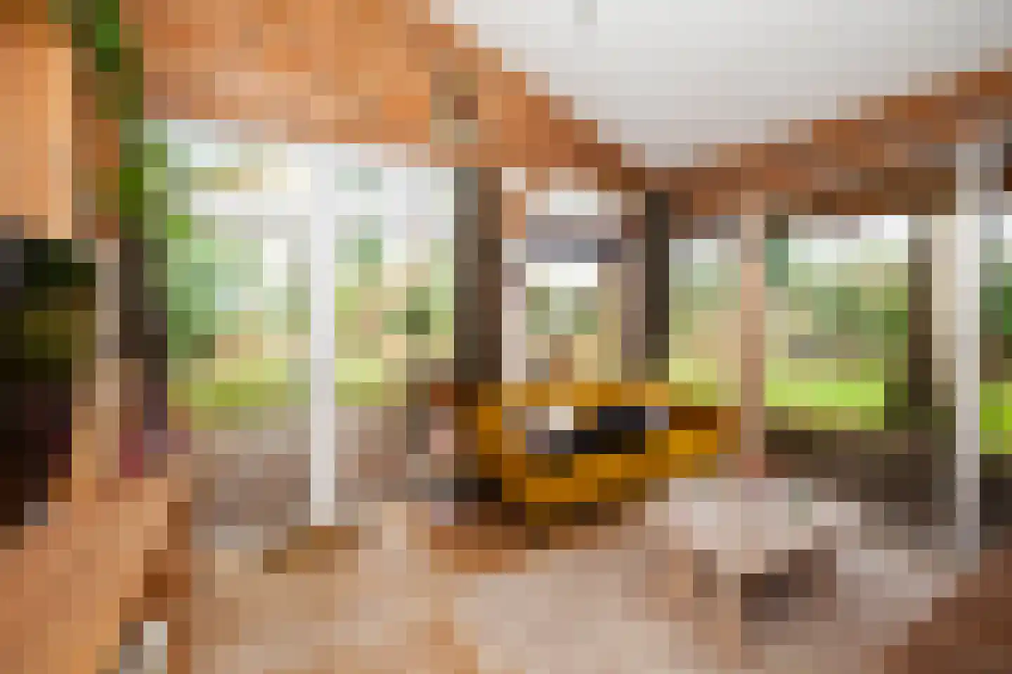 Zimmelinksdiek 2 Winterswijk Meddo thumbnail 54