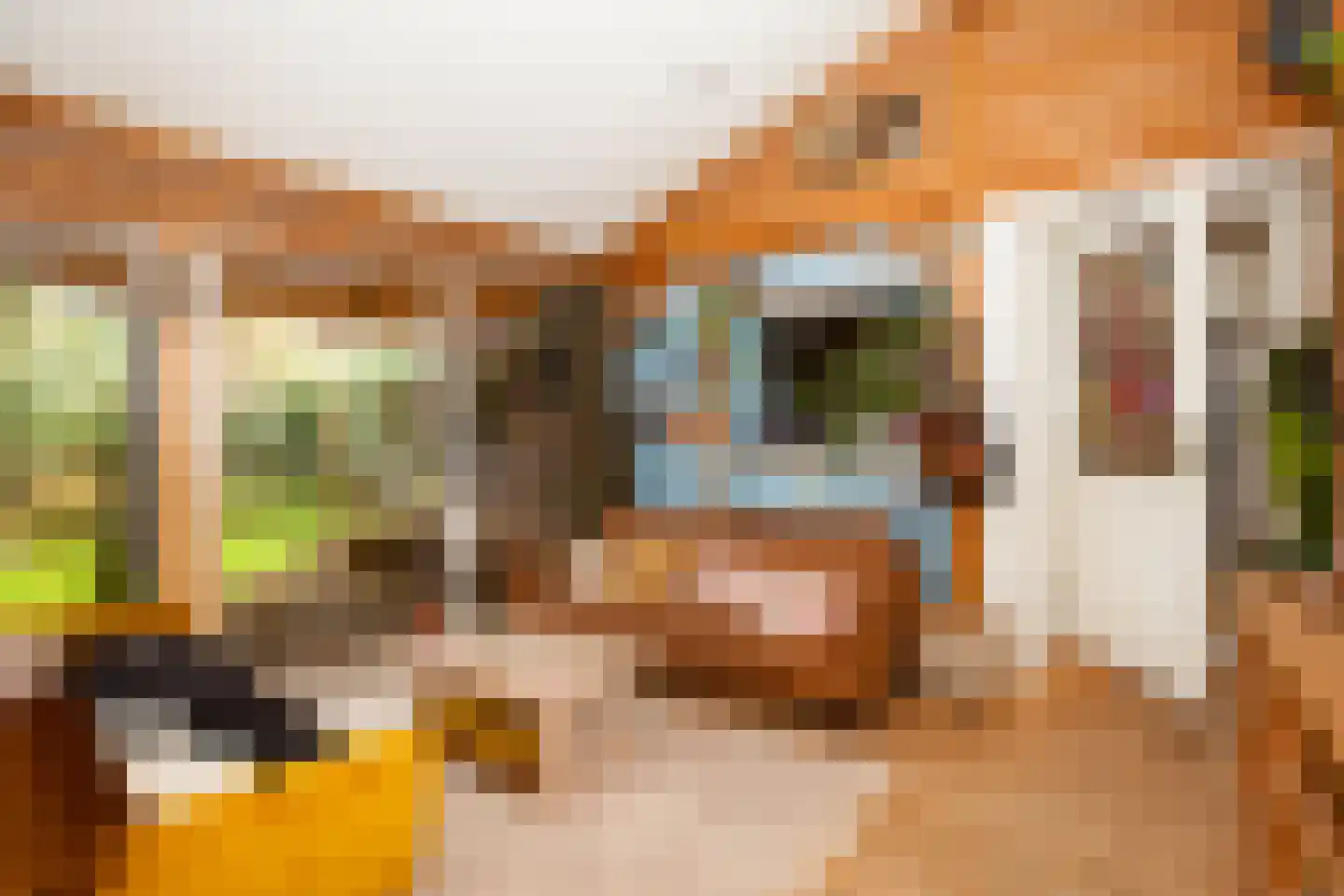 Zimmelinksdiek 2 Winterswijk Meddo thumbnail 55