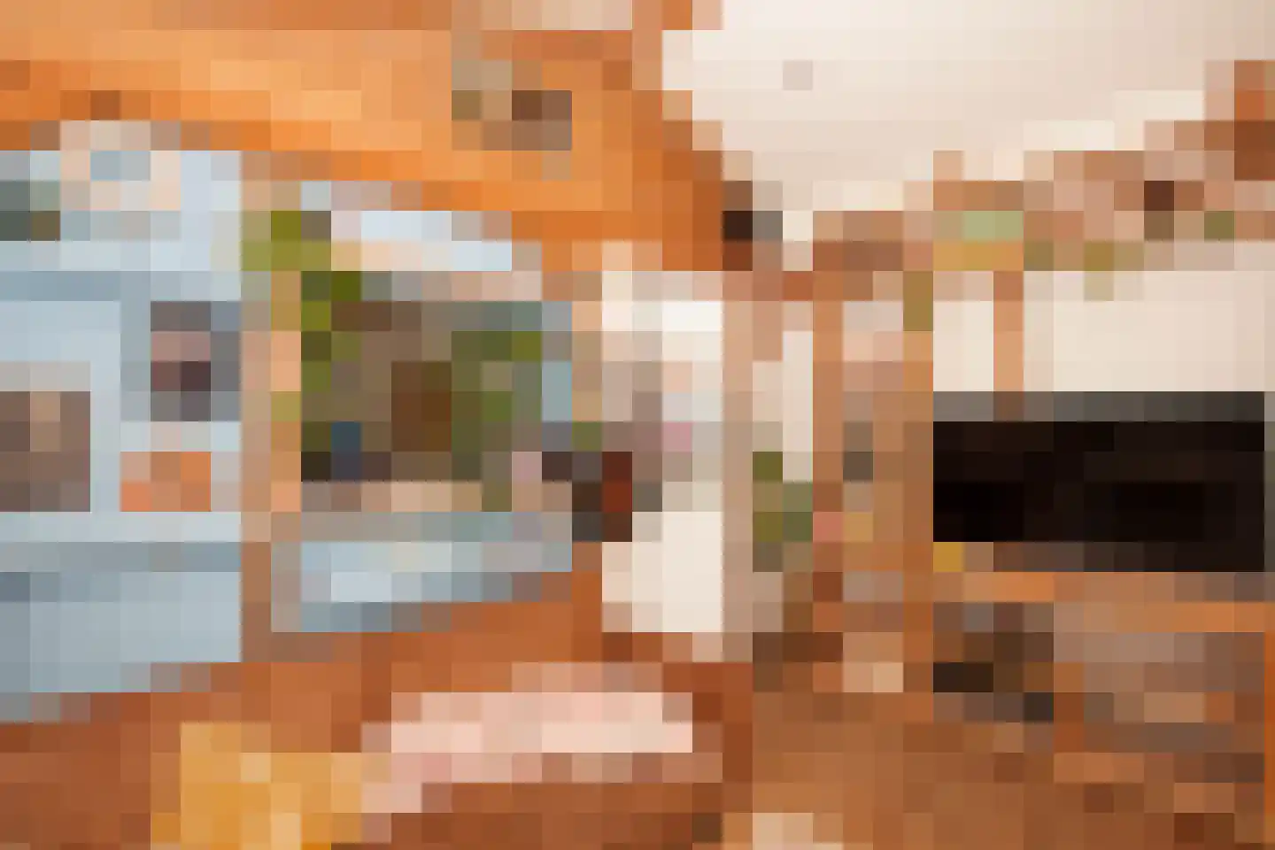 Zimmelinksdiek 2 Winterswijk Meddo thumbnail 56