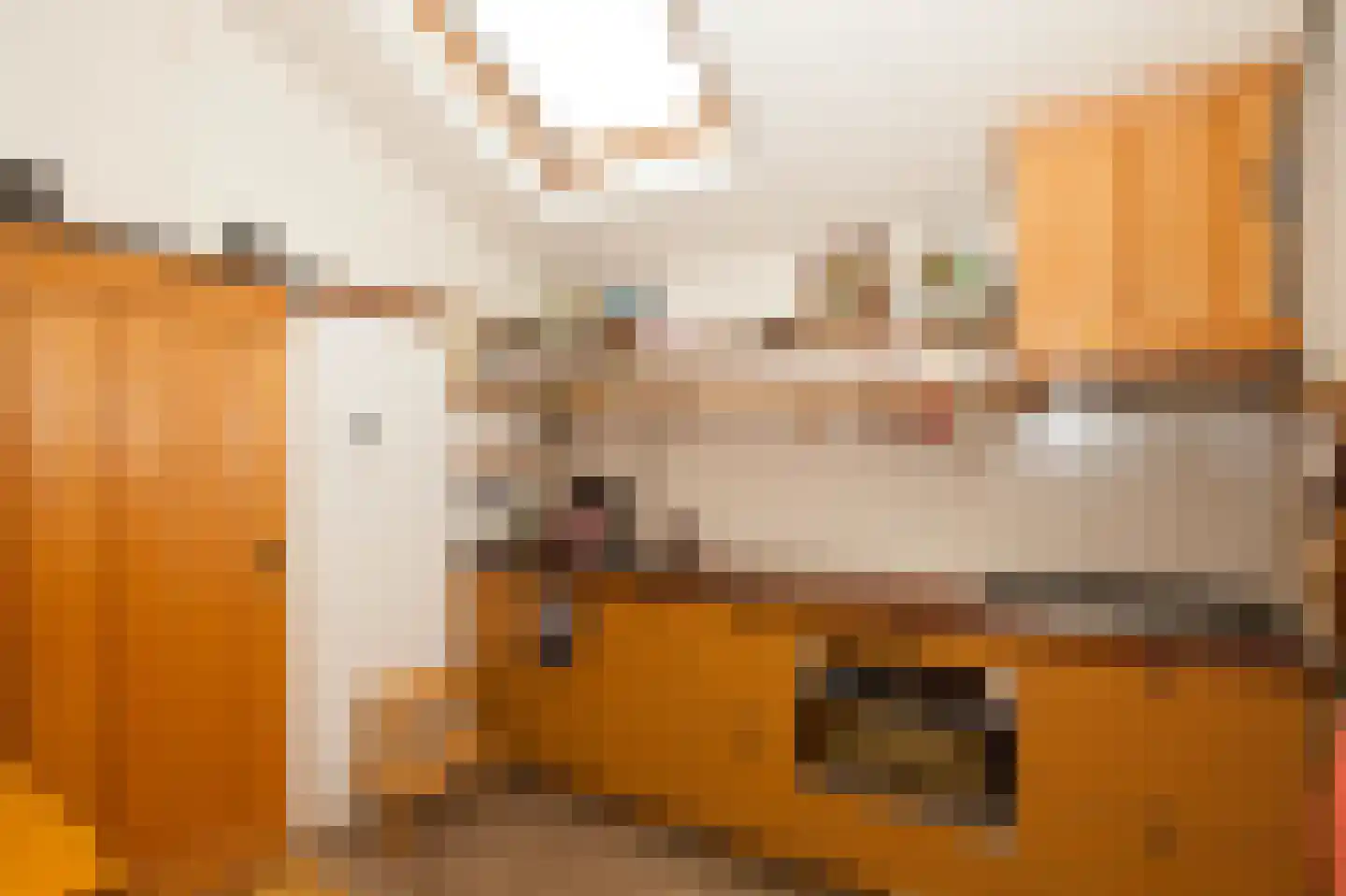 Zimmelinksdiek 2 Winterswijk Meddo thumbnail 57