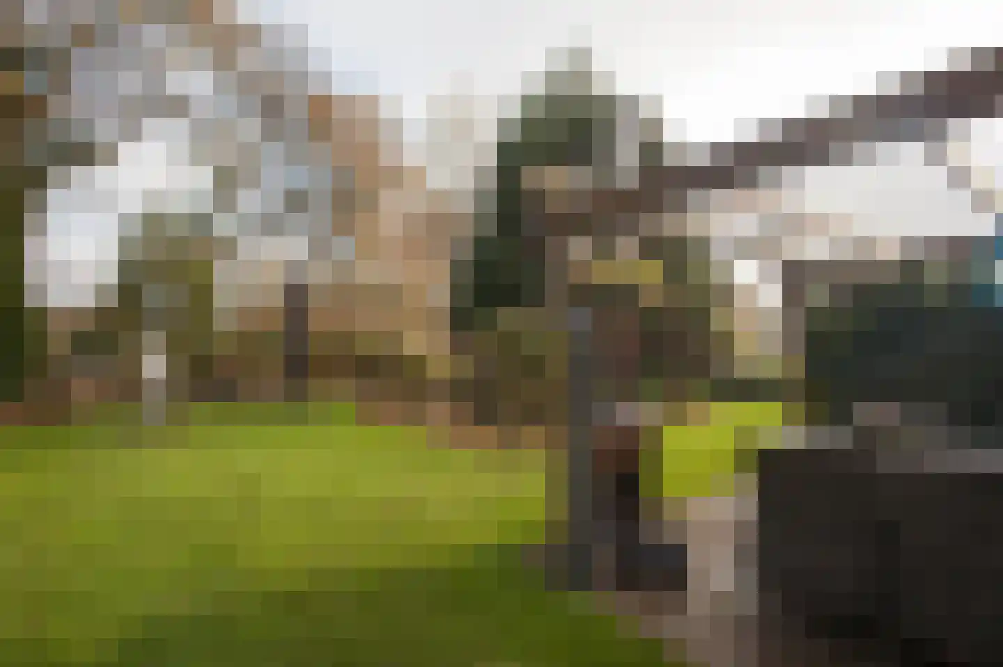 Zimmelinksdiek 2 Winterswijk Meddo thumbnail 6