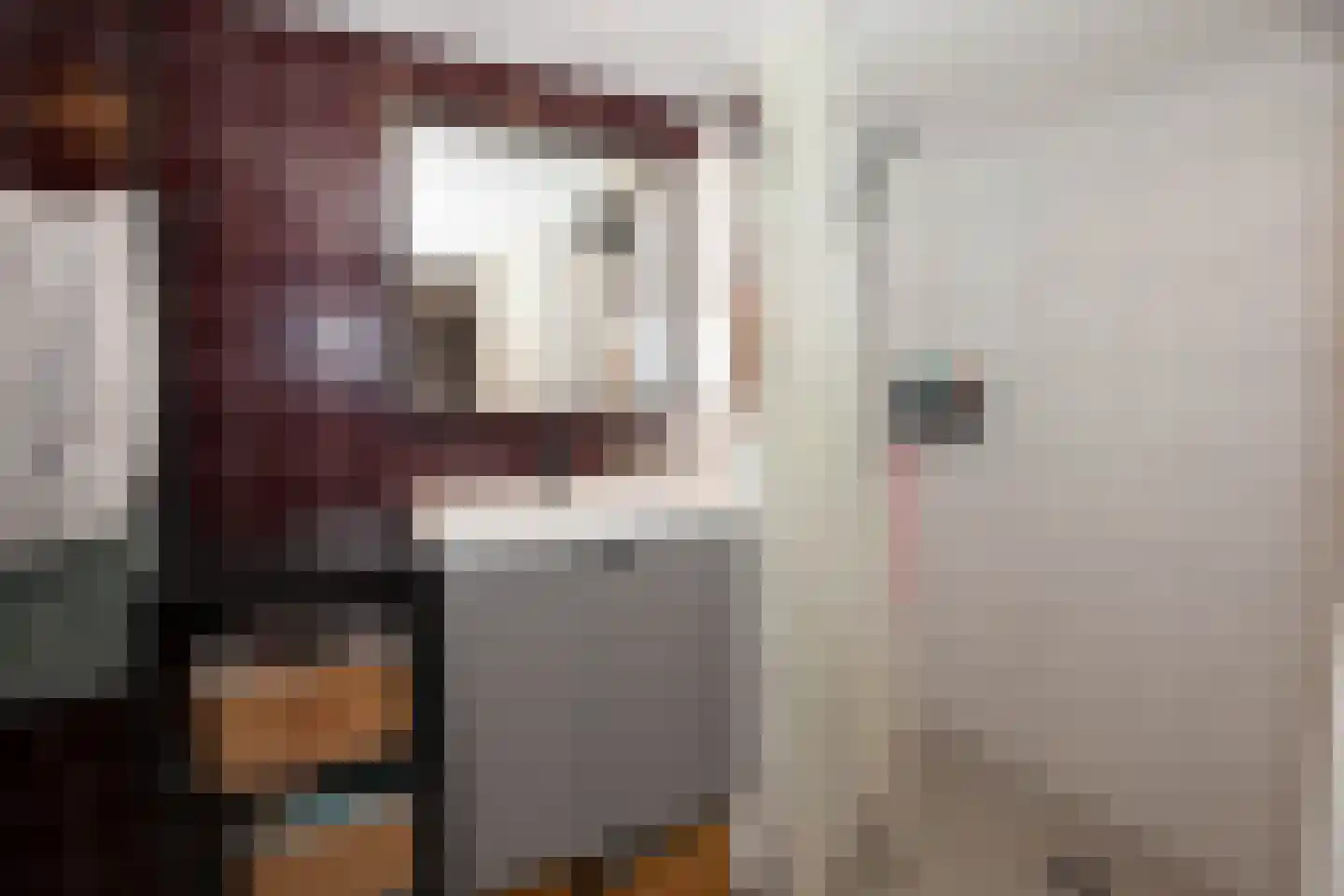 Zimmelinksdiek 2 Winterswijk Meddo thumbnail 62