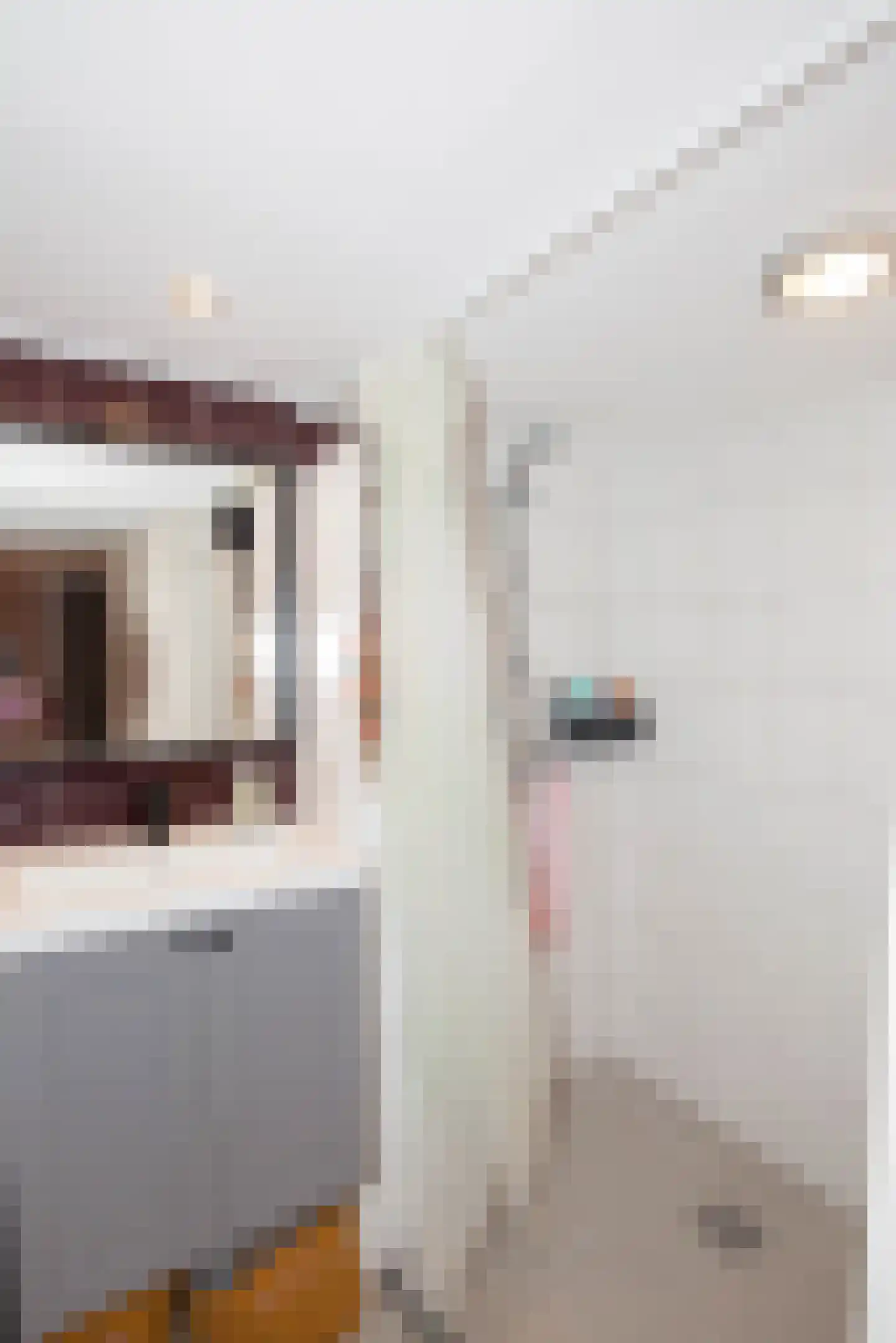 Zimmelinksdiek 2 Winterswijk Meddo thumbnail 63