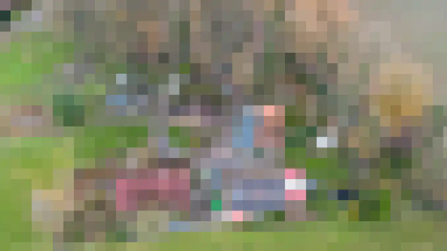 Zimmelinksdiek 2 Winterswijk Meddo thumbnail 67