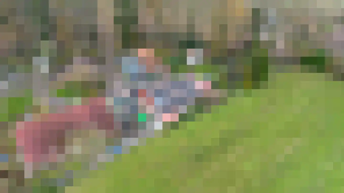 Zimmelinksdiek 2 Winterswijk Meddo thumbnail 68