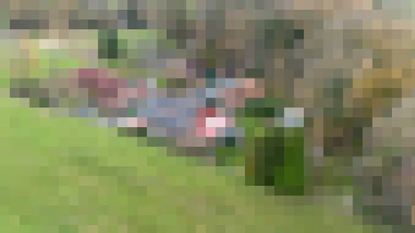 Zimmelinksdiek 2 Winterswijk Meddo thumbnail 69