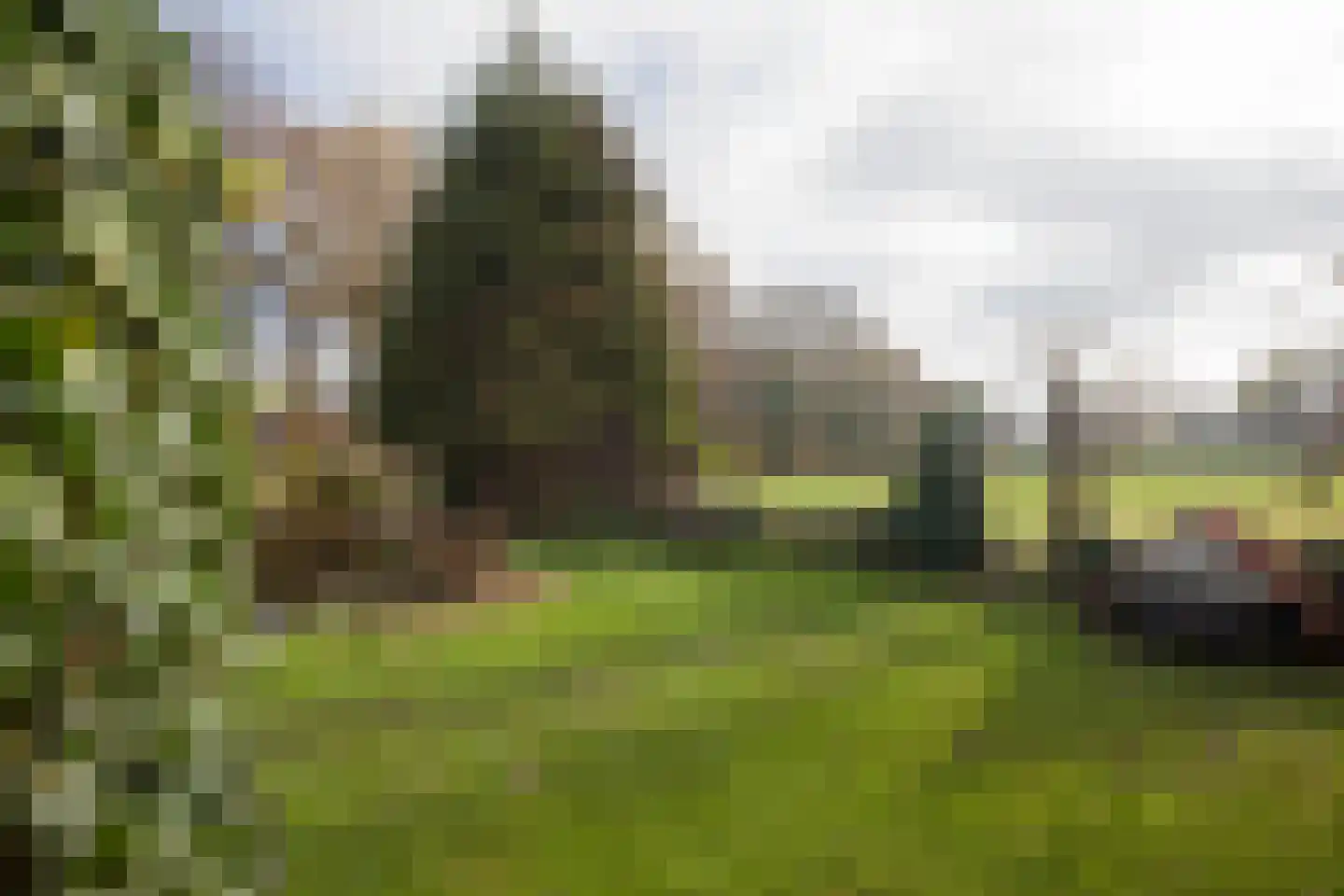 Zimmelinksdiek 2 Winterswijk Meddo thumbnail 7