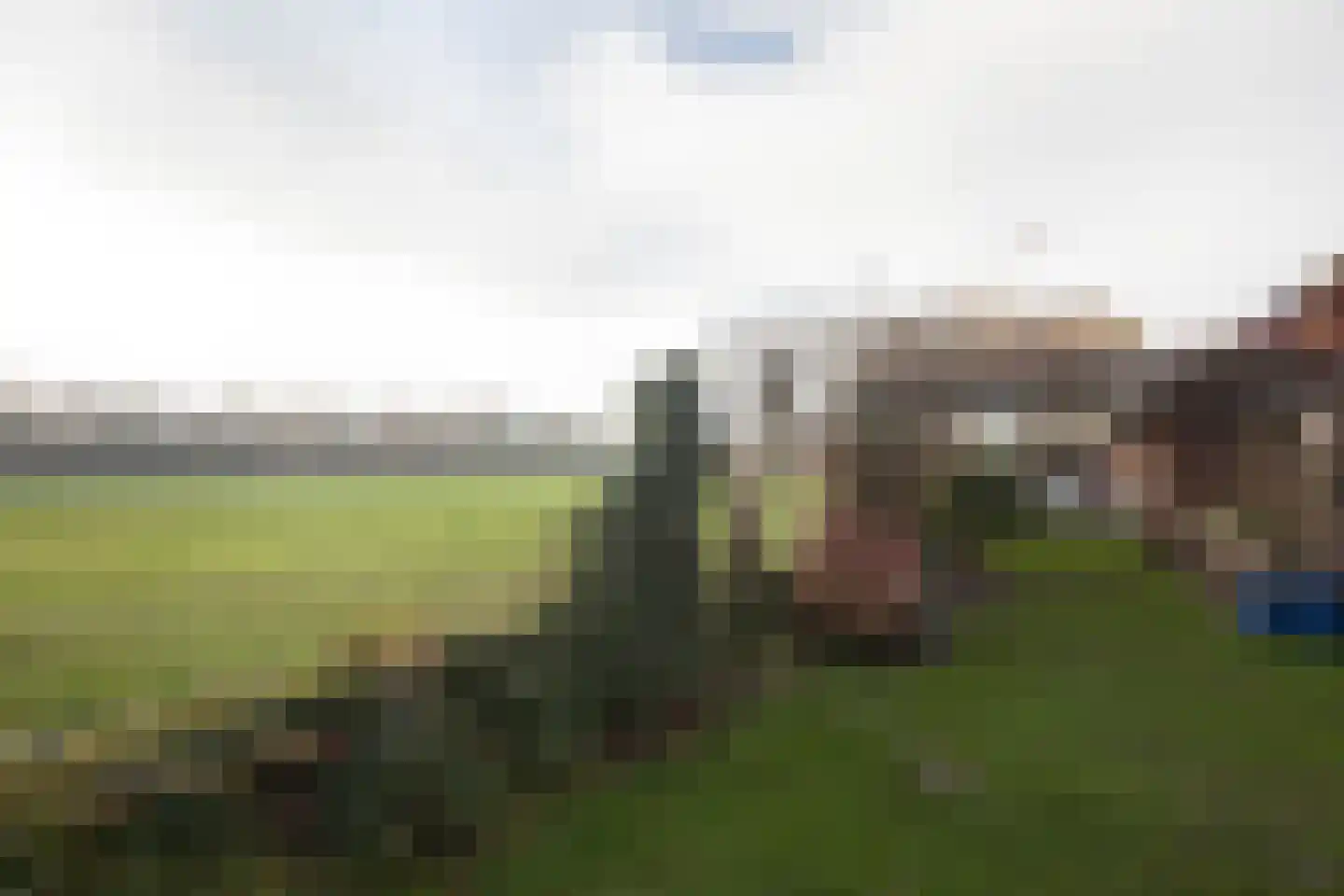 Zimmelinksdiek 2 Winterswijk Meddo thumbnail 8