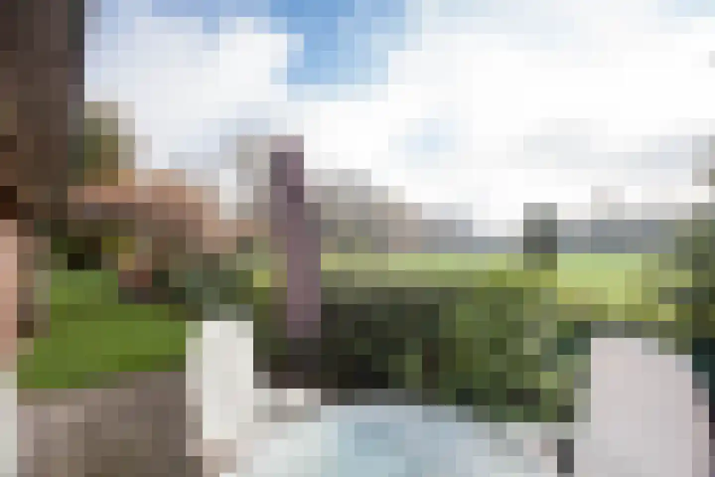 Zimmelinksdiek 2 Winterswijk Meddo thumbnail 9