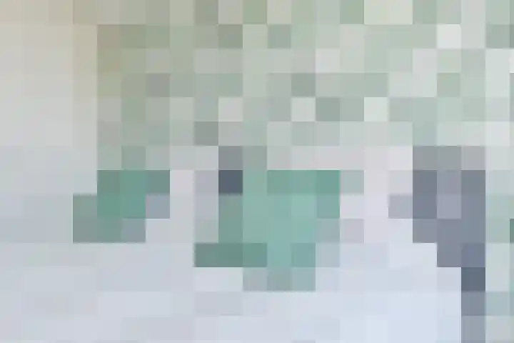 Zingerskamp 13 Laren thumbnail 32