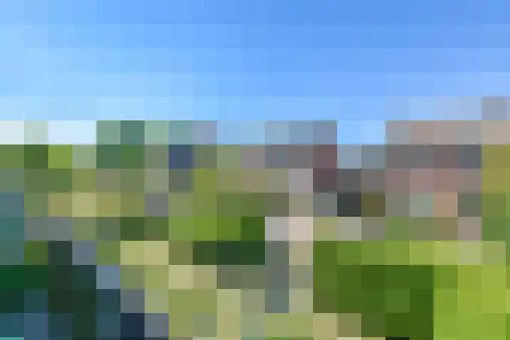 Zingerskamp 13 Laren thumbnail 36