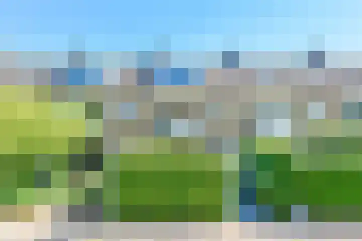 Zingerskamp 13 Laren thumbnail 5
