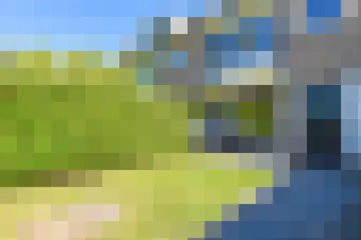 Zingerskamp 13 Laren thumbnail 7