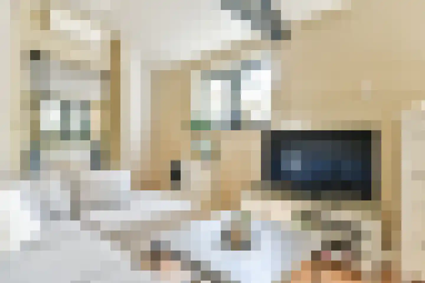 Zingerskamp 2 Laren thumbnail 15