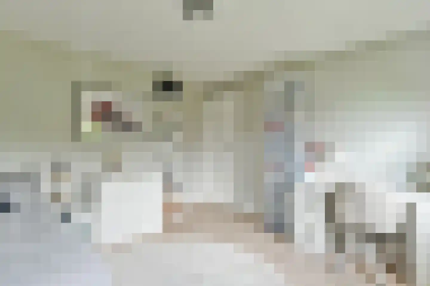 Zingerskamp 2 Laren thumbnail 24