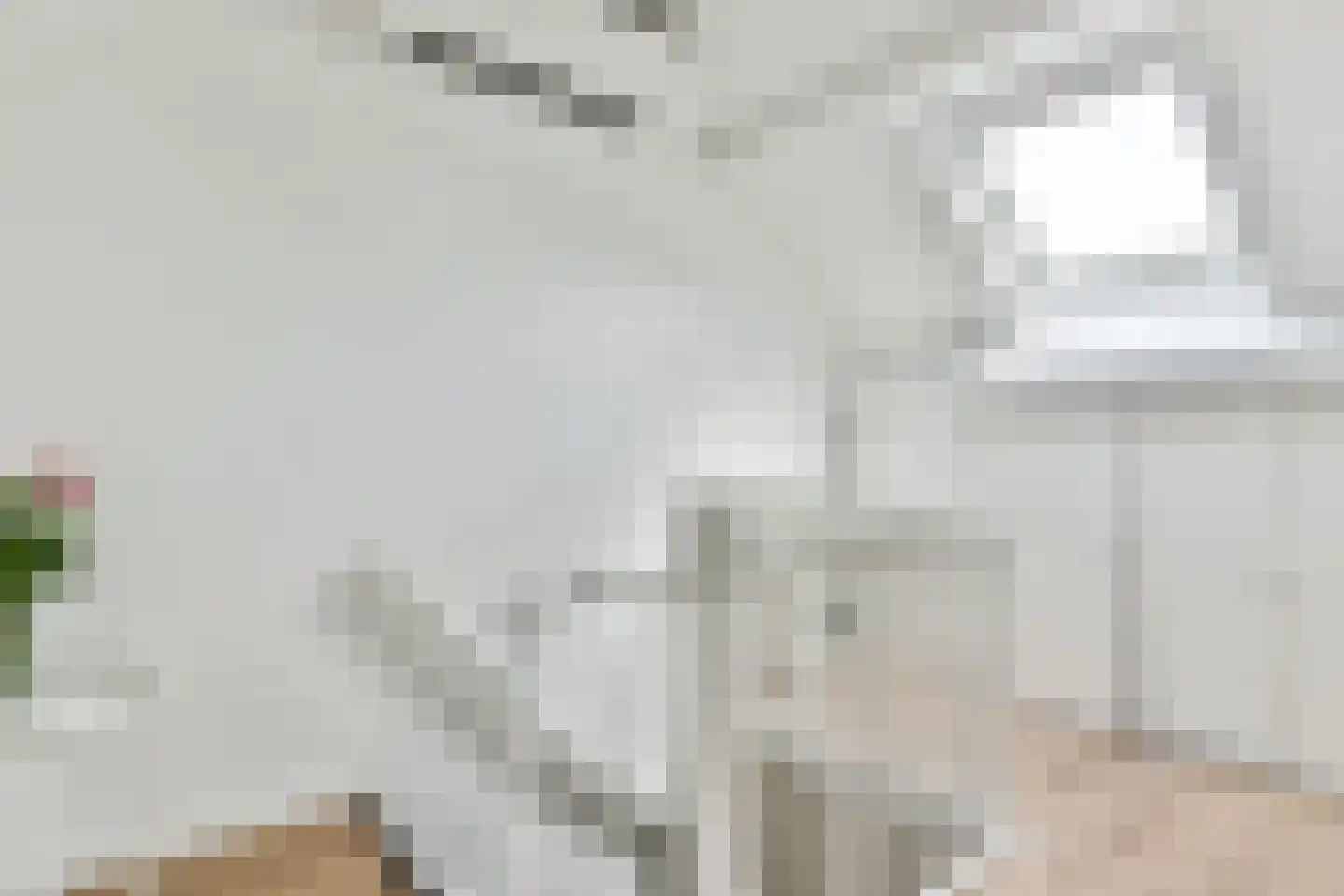 Zingerskamp 2 Laren thumbnail 28