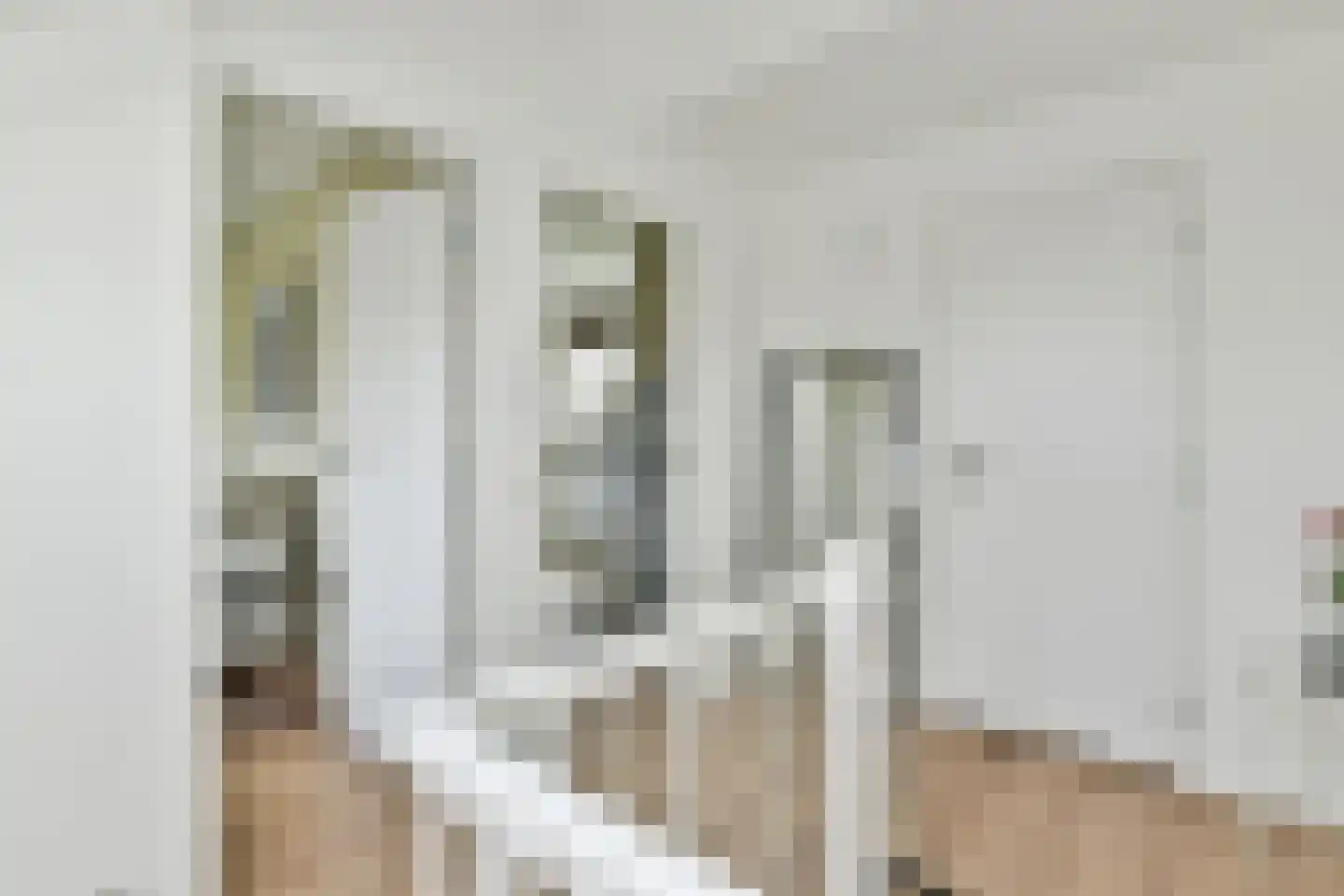 Zingerskamp 2 Laren thumbnail 29