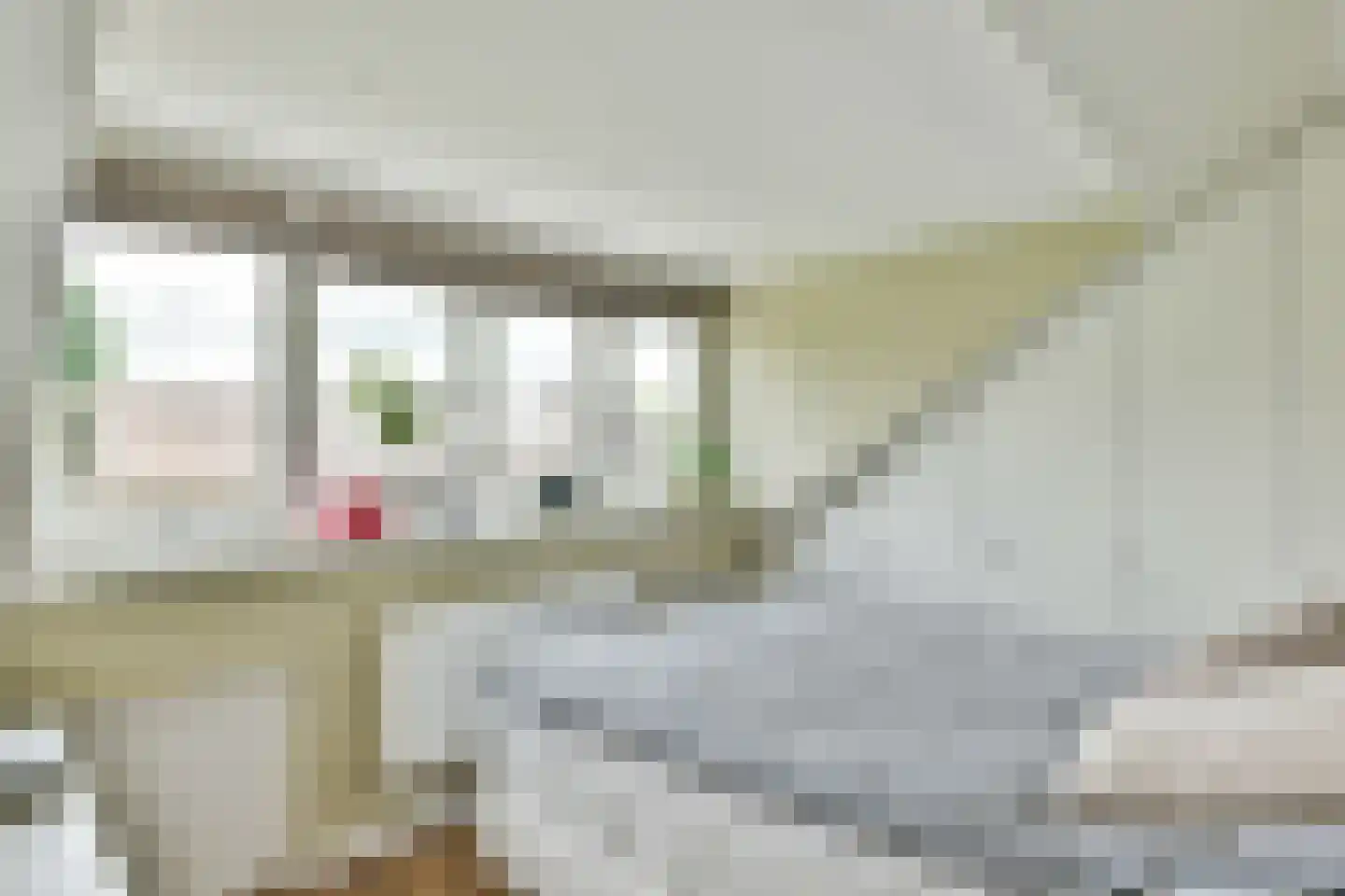 Zingerskamp 2 Laren thumbnail 30