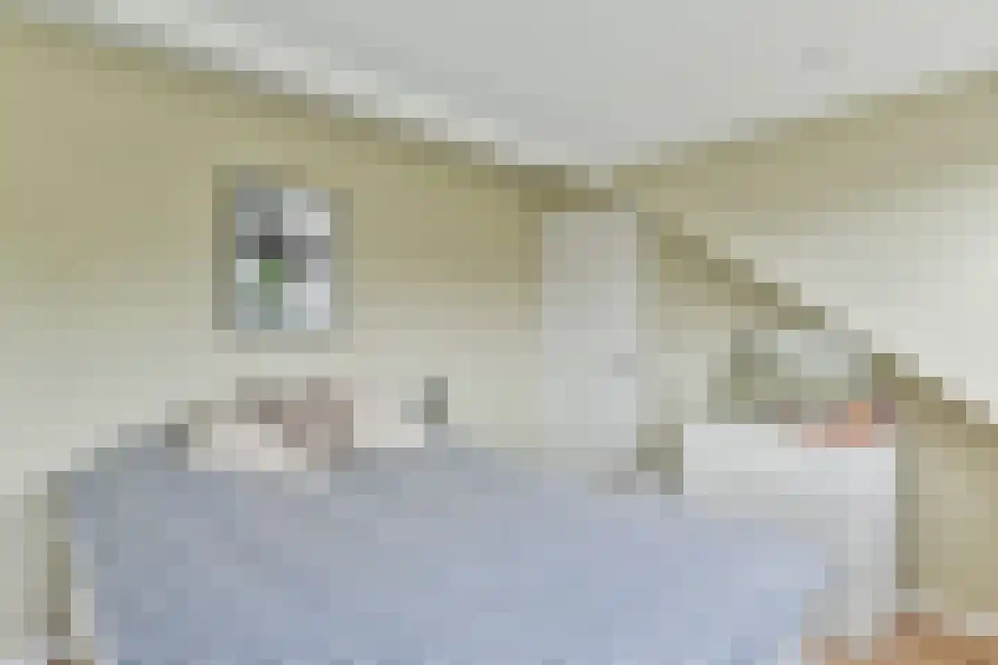 Zingerskamp 2 Laren thumbnail 31