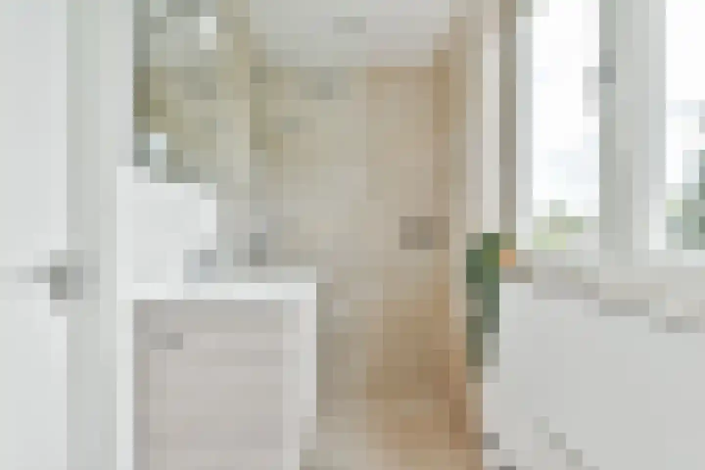 Zingerskamp 2 Laren thumbnail 34