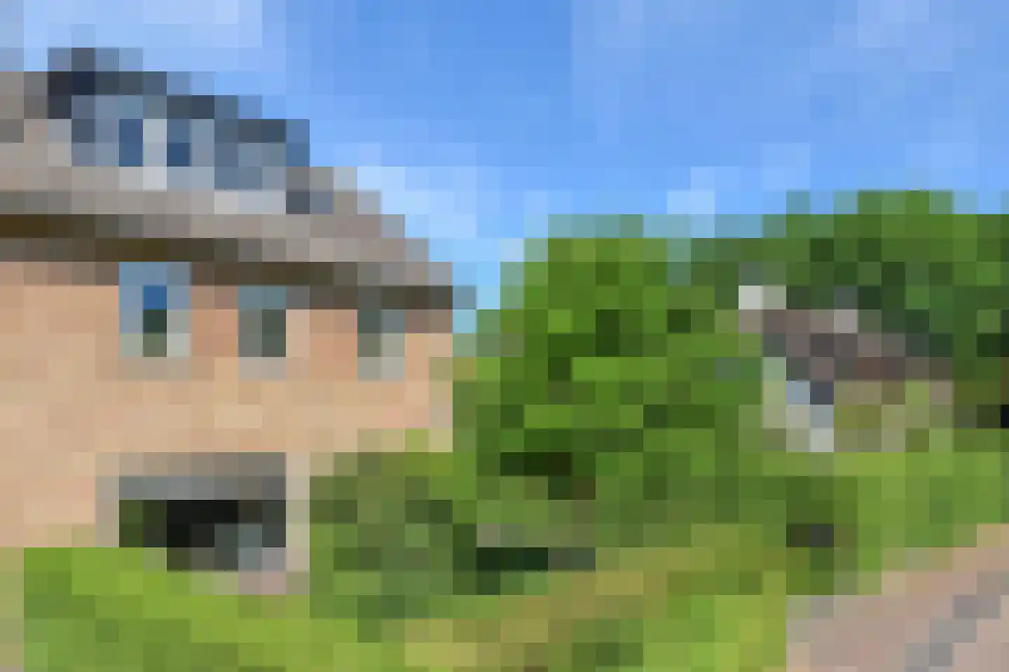 Zingerskamp 2 Laren thumbnail 4