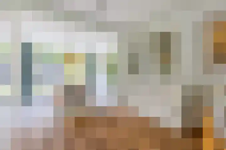 Zingerskamp 4 Laren thumbnail 11
