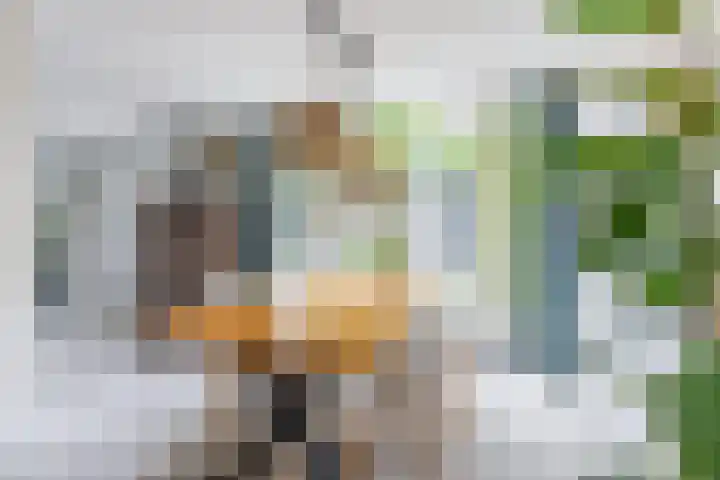 Zingerskamp 4 Laren thumbnail 16
