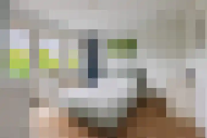 Zingerskamp 4 Laren thumbnail 25