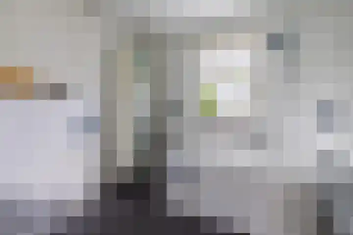 Zingerskamp 4 Laren thumbnail 27
