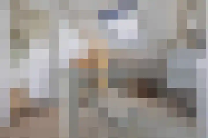 Zingerskamp 4 Laren thumbnail 31