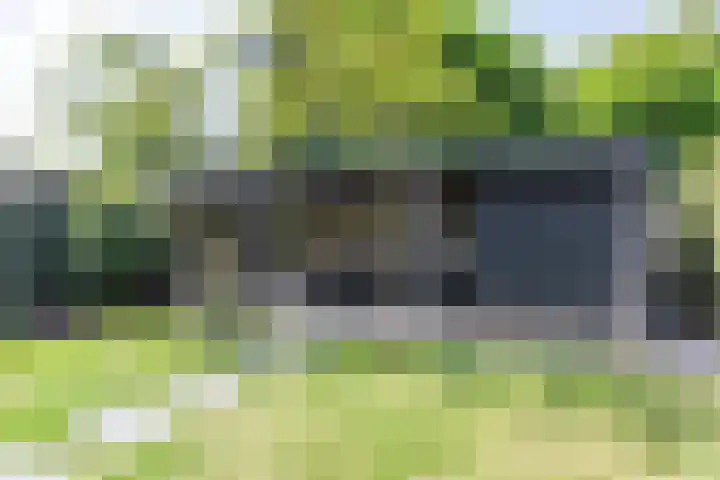 Zingerskamp 4 Laren thumbnail 38