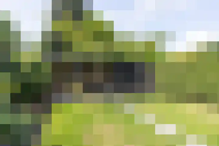 Zingerskamp 4 Laren thumbnail 39
