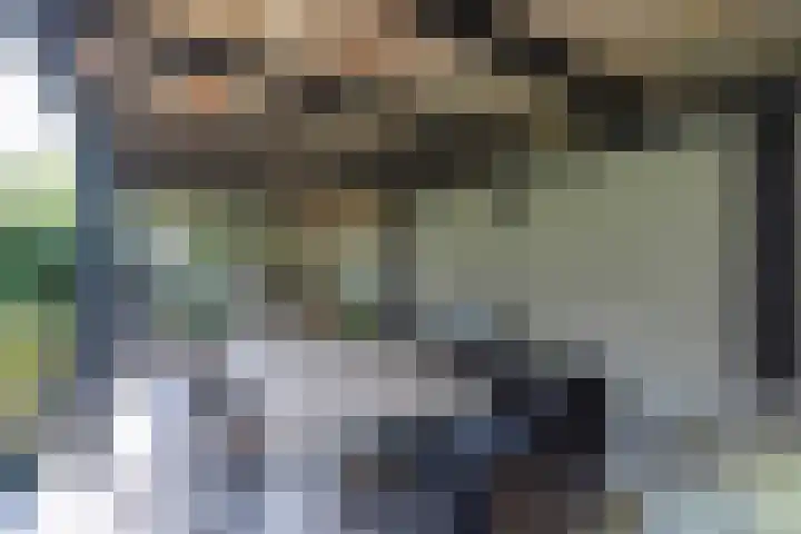Zingerskamp 4 Laren thumbnail 40