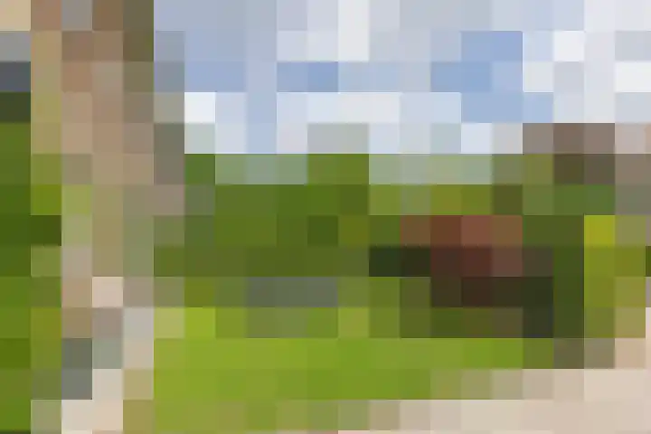 Zingerskamp 4 Laren thumbnail 45
