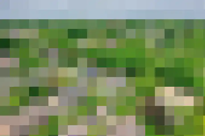 Zingerskamp 4 Laren thumbnail 47