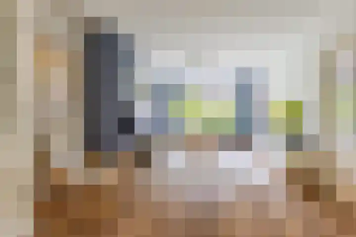 Zingerskamp 4 Laren thumbnail 6