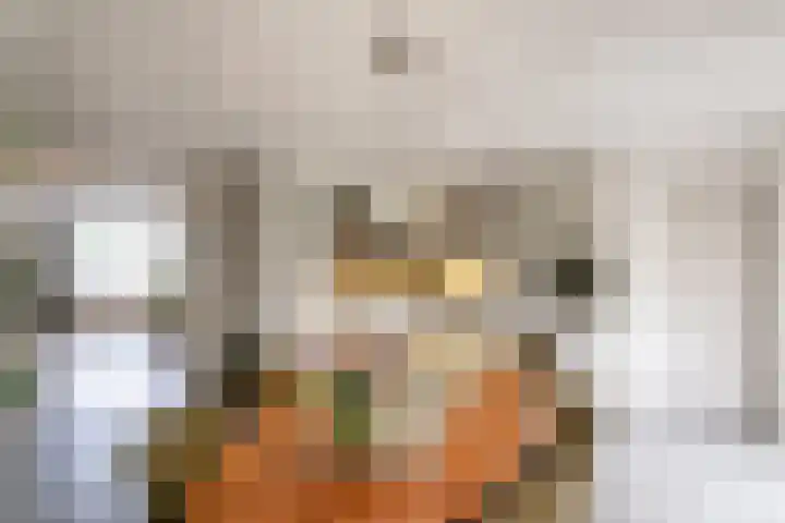 Zinker 18 Oss thumbnail 10