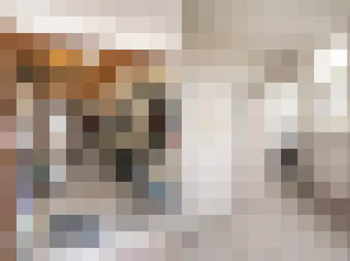 Zinker 18 Oss thumbnail 11